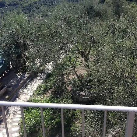 Berio Cinque - Casetta Villa Viani