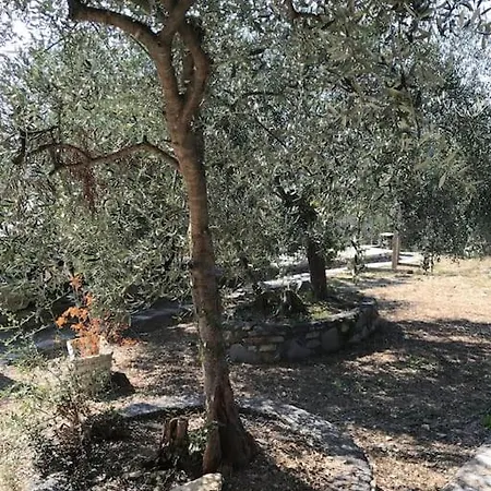 Berio Cinque - Casetta