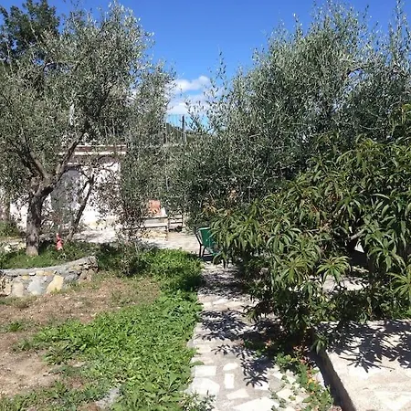 Berio Cinque - Casetta Villa Viani