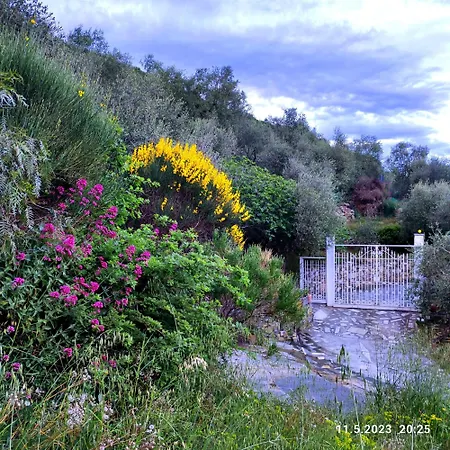Apartment Berio Cinque - Casetta Villa Viani