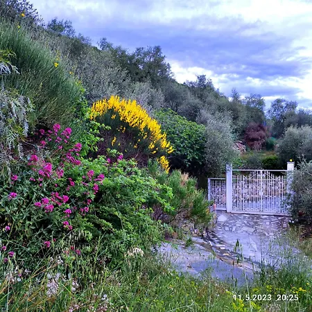 شقة Berio Cinque - Casetta Villa Viani